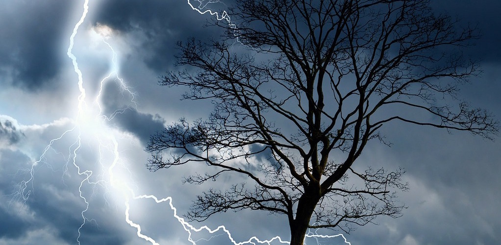 lightning strike in the sky behind a large tree
